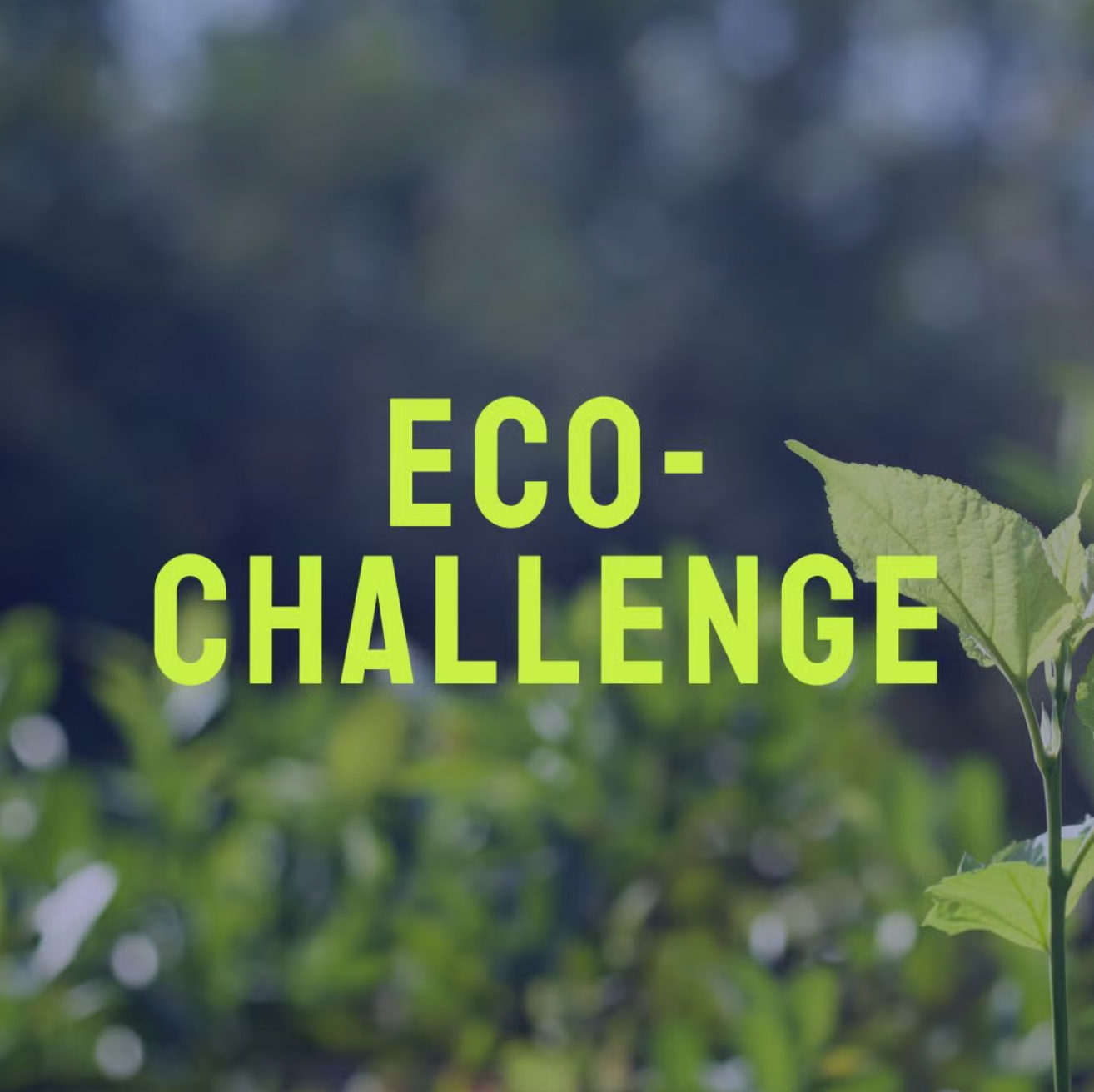 Plant with text Eco-Challenge overlayed