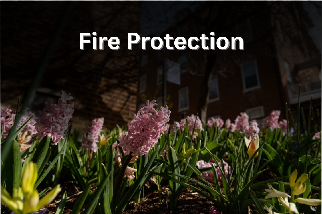 hyacinth flowers with the text "fire protection" overlaid